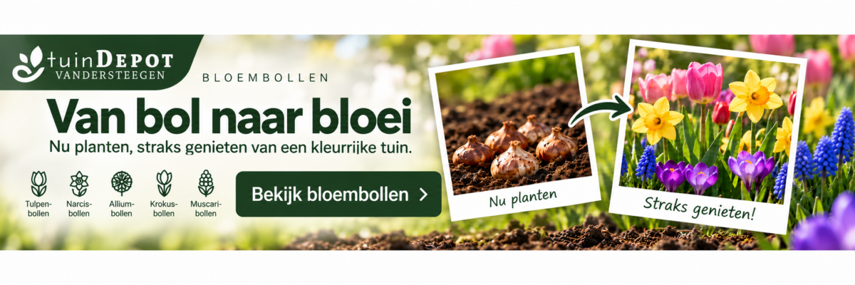 advertentie