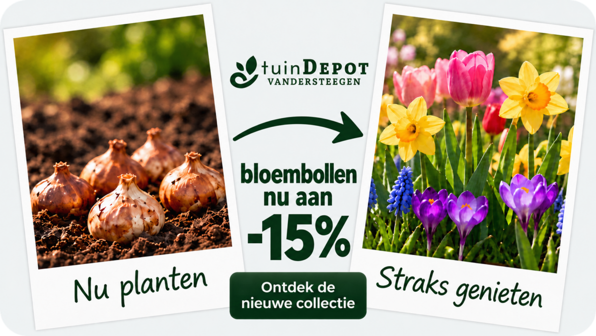 advertentie